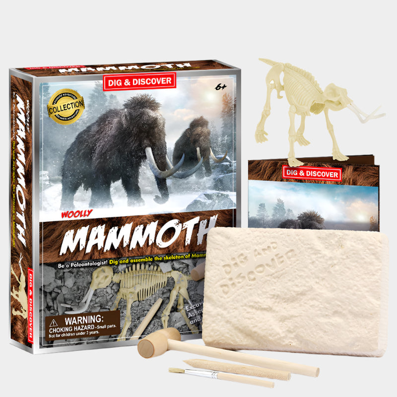 Jurassic Skeleton Excavation Kit with digging block, excavation tools, and illustrated guidebook for assembling realistic dinosaur skeletons