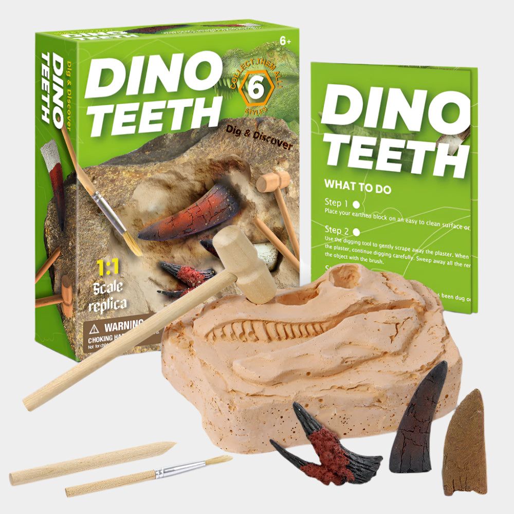 Jurassic Skeleton Excavation Kit with digging block, excavation tools, and illustrated guidebook for assembling realistic dinosaur skeletons